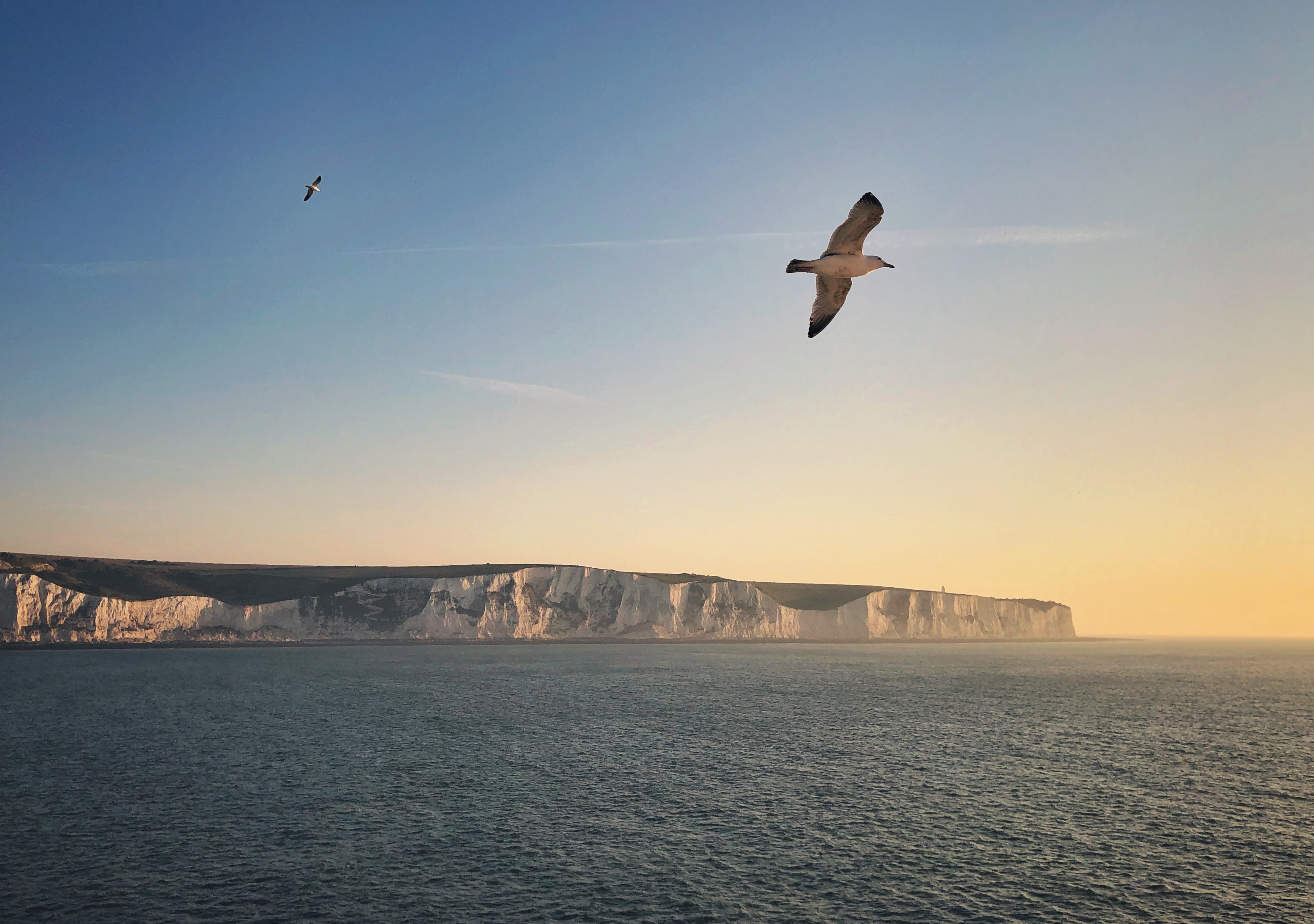 White cliffs of Dover